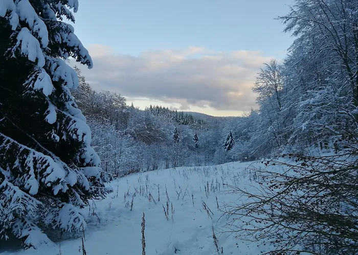 Taunusblick-meissner Schmitten
